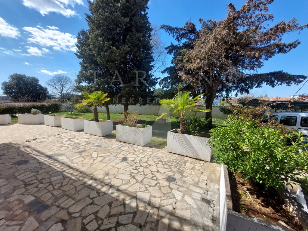 Image 5233184 - 5