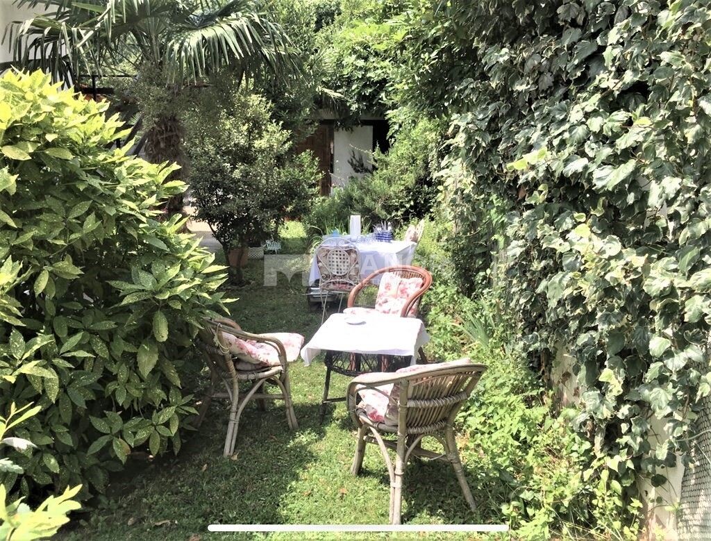 Image 5242067 - 7