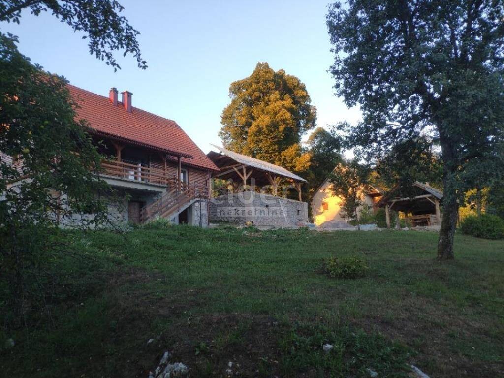 Image 5243293 - 1