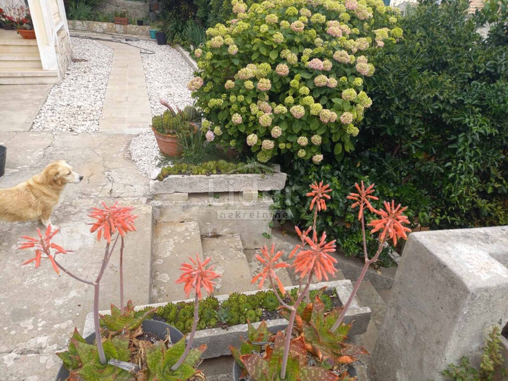 Image 5244633 - 19