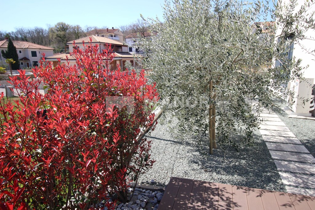 Image 5244869 - 6