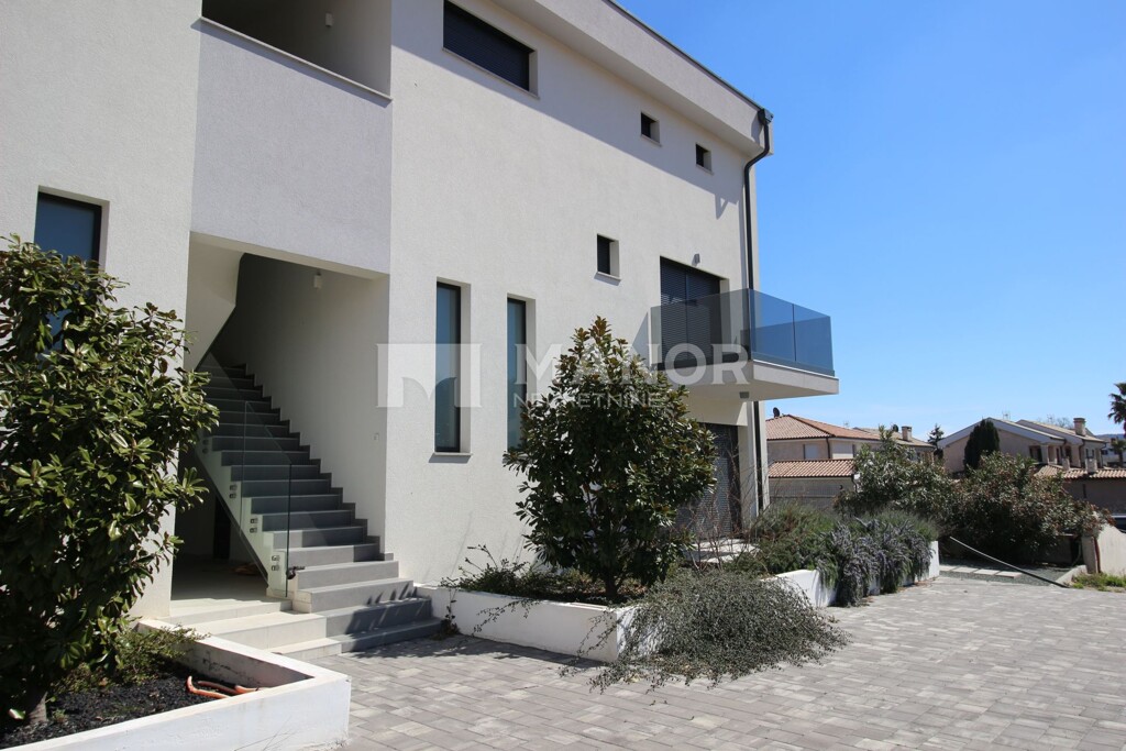 Image 5244869 - 1