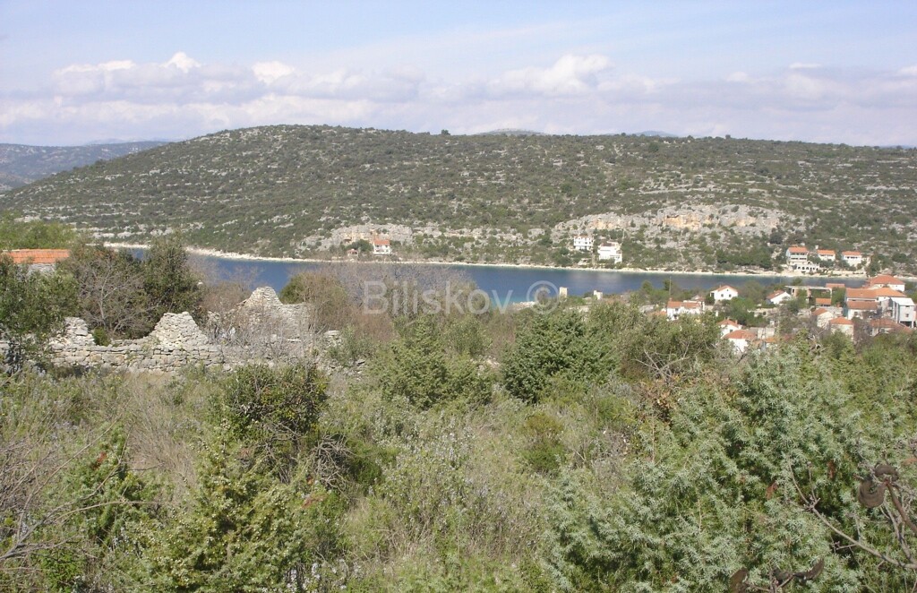 Image 5248137 - 1