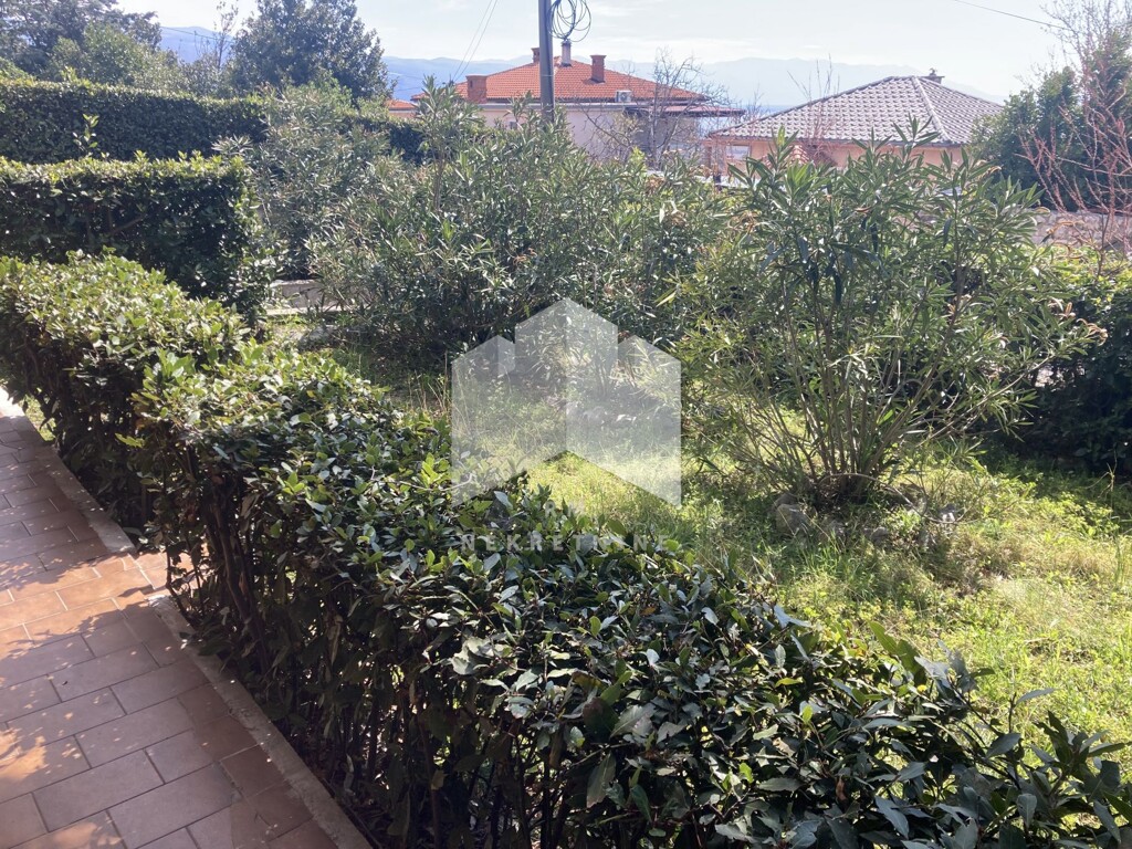 Image 5248664 - 5