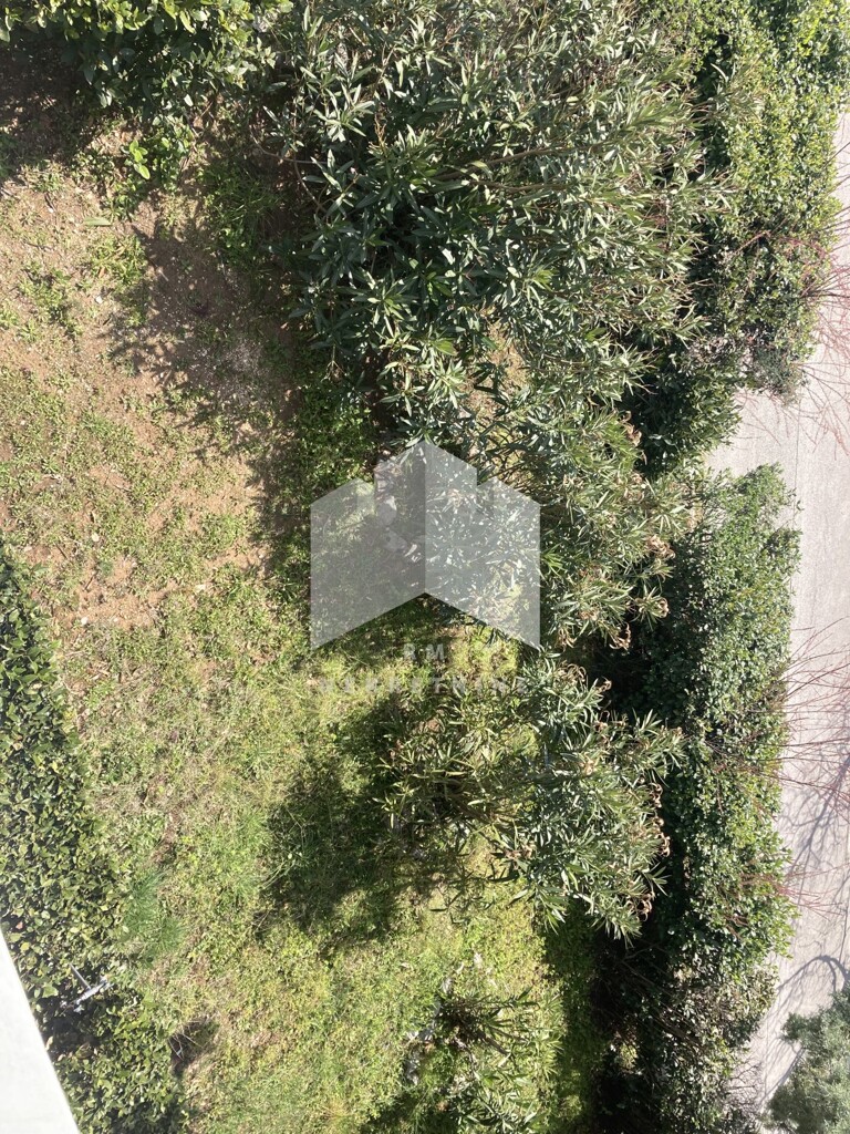 Image 5248664 - 21