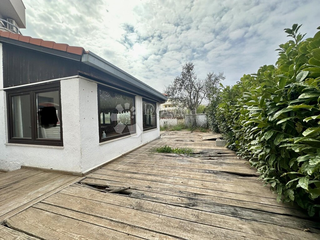 Image 5249294 - 1