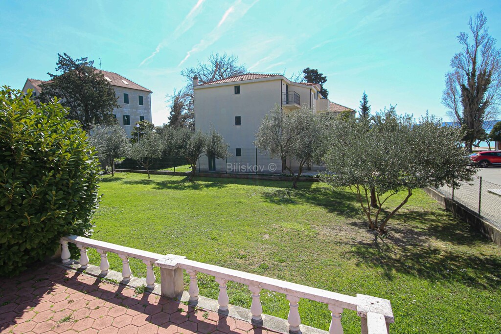 Image 5249393 - 3