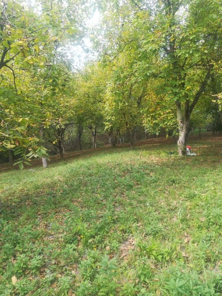 Image 5253012 - 8