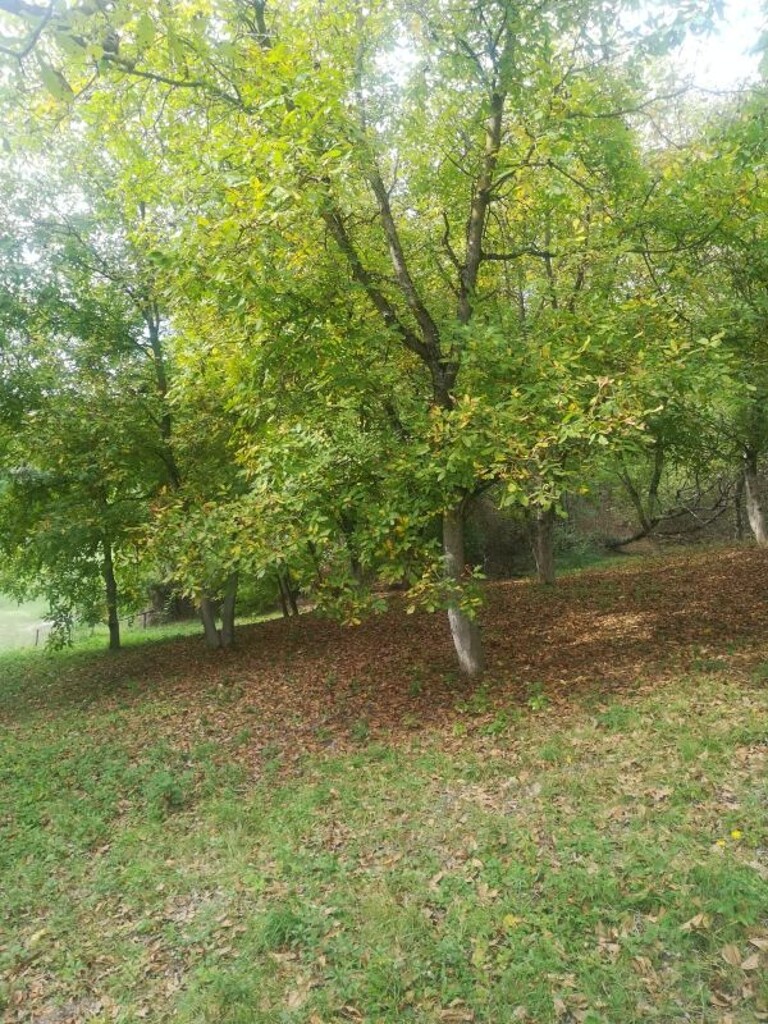 Image 5253012 - 6