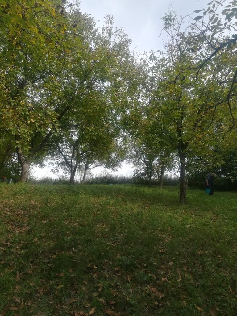 Image 5253012 - 9