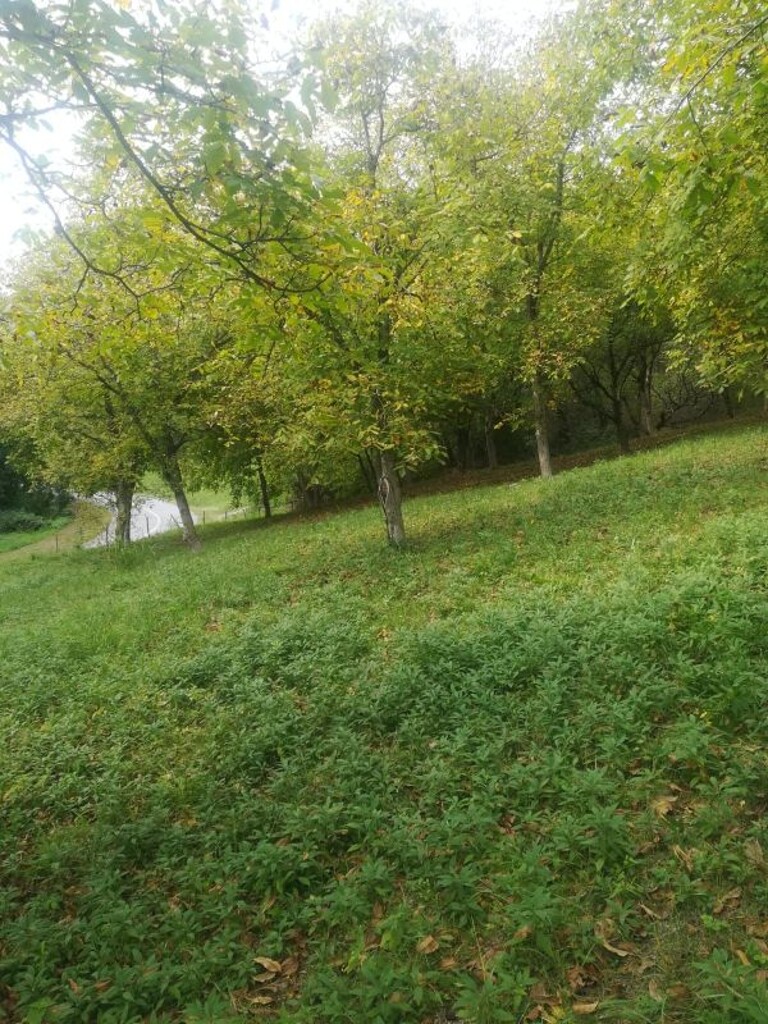 Image 5253012 - 5