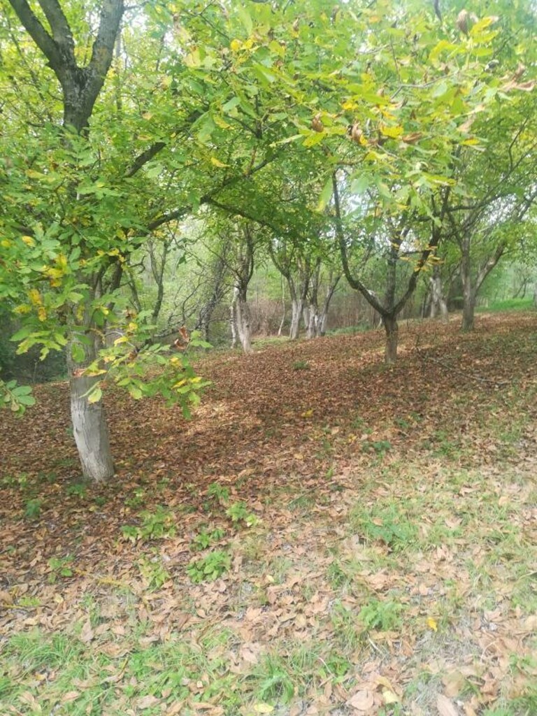 Image 5253012 - 7