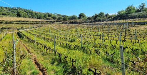 Thumbnail 5253224 - 3