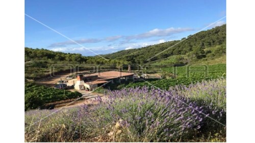 Thumbnail 5253224 - 11