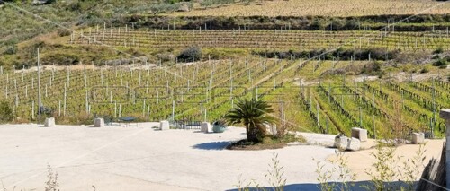 Thumbnail 5253224 - 10