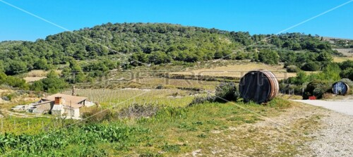 Thumbnail 5253224 - 4