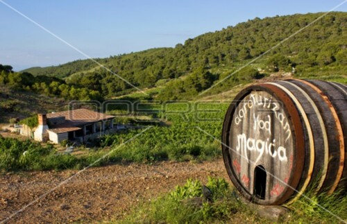 Thumbnail 5253224 - 19