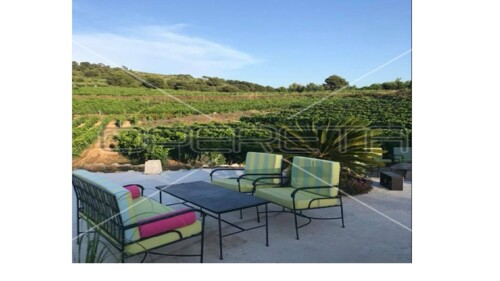 Thumbnail 5253224 - 6