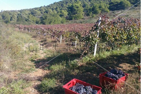 Thumbnail 5253224 - 12