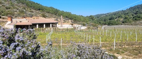 Thumbnail 5253224 - 5