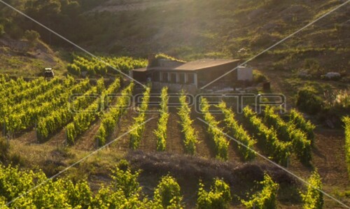 Thumbnail 5253224 - 23