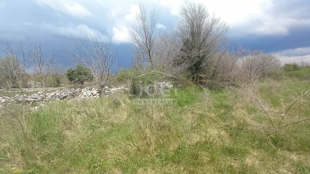 Image 5254950 - 2