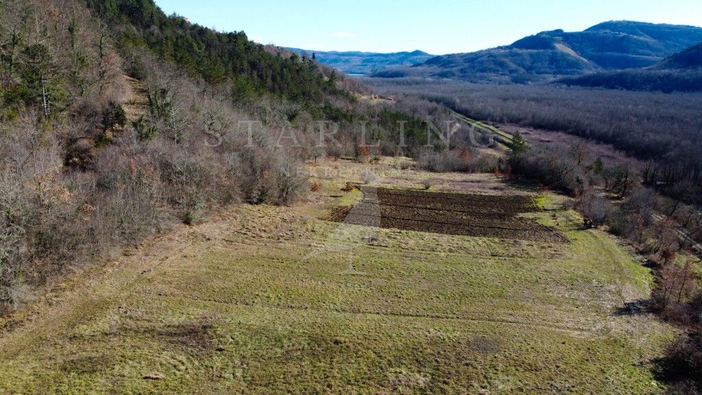 Image 5255894 - 2