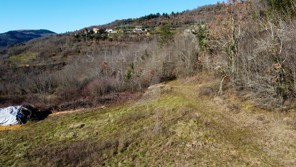 Image 5255894 - 6