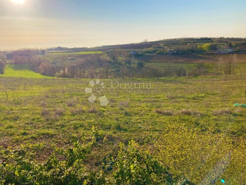 Thumbnail 5256277 - 4