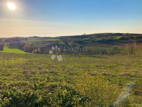 Thumbnail 5256277 - 3