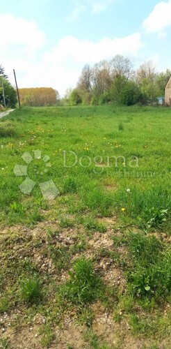 Thumbnail 5256288 - 1