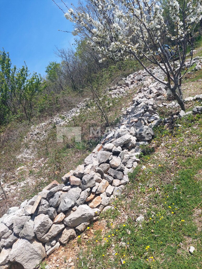 Image 5256354 - 4