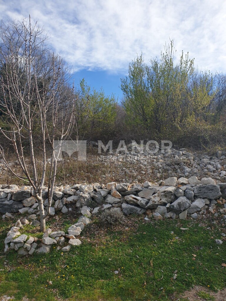 Image 5256354 - 1