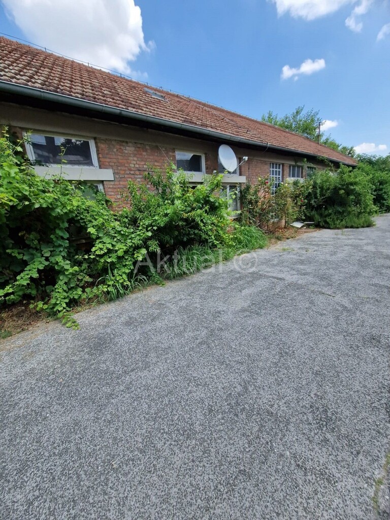 Image 5258640 - 1