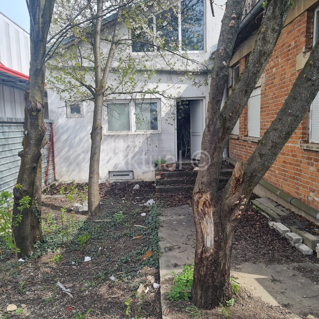 Image 5258640 - 4