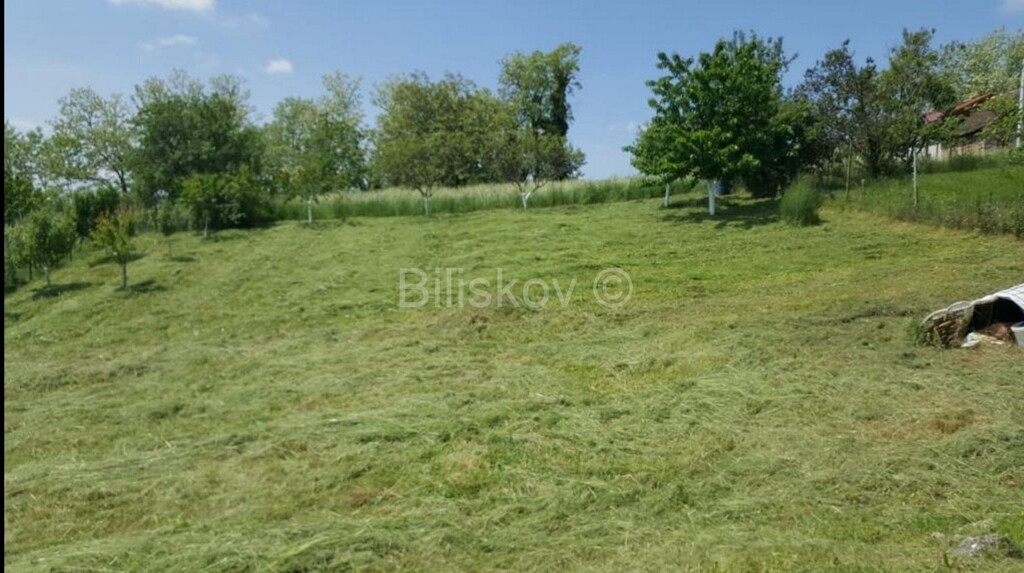Image 5258643 - 3