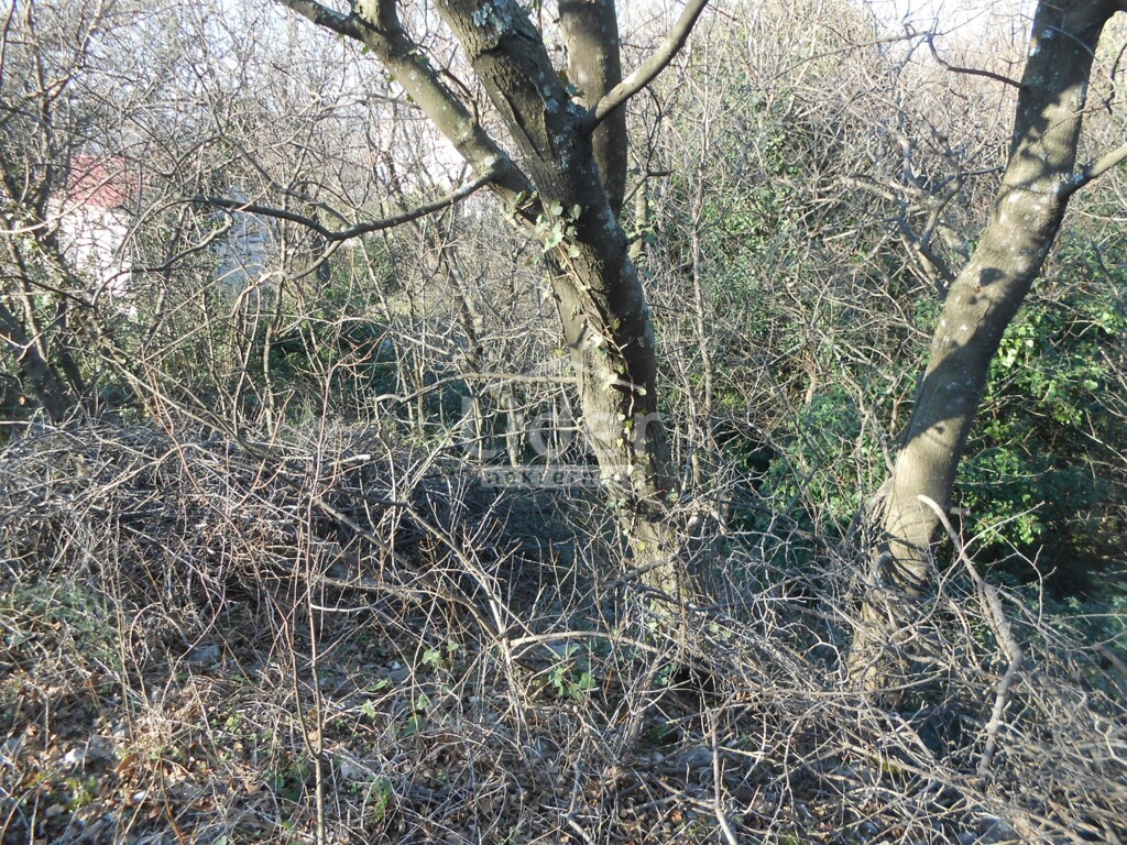 Image 5259885 - 6