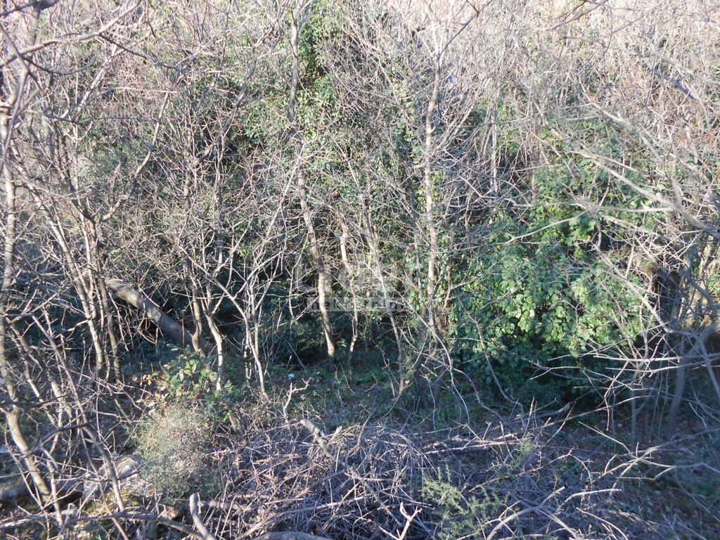Image 5259885 - 8