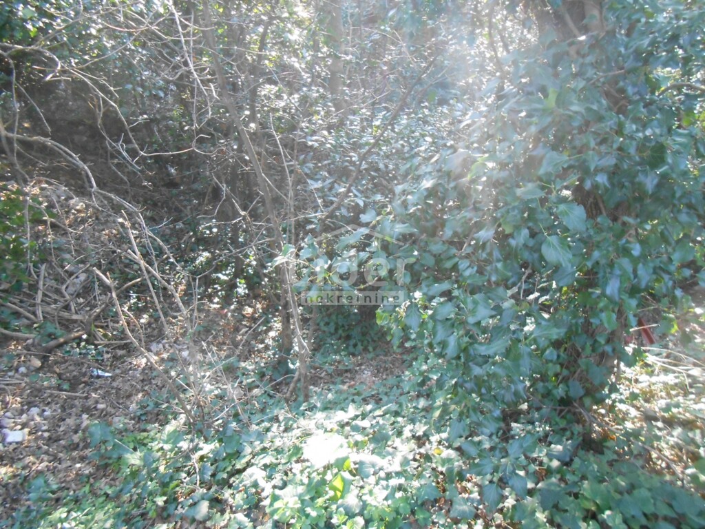 Image 5259885 - 14