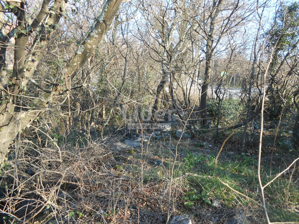 Image 5259885 - 10