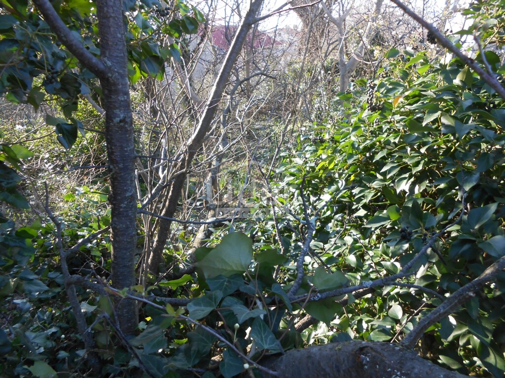 Image 5259885 - 15
