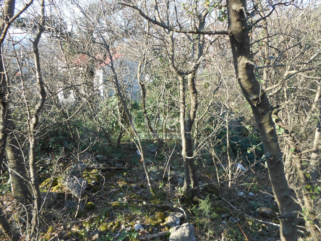 Image 5259885 - 9