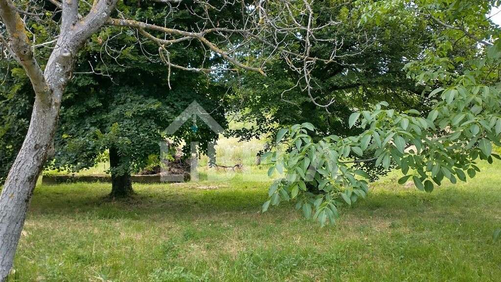 Image 5261314 - 2