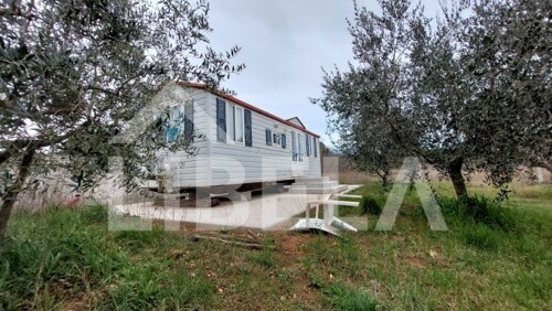 Thumbnail 5262033 - 8