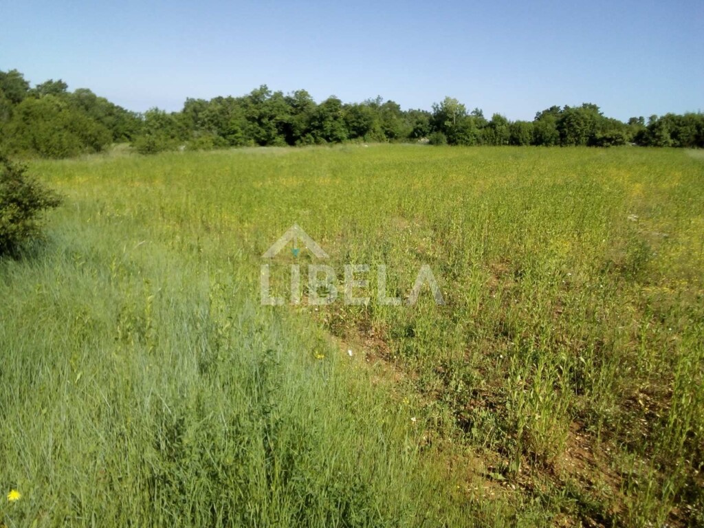 Image 5262042 - 1