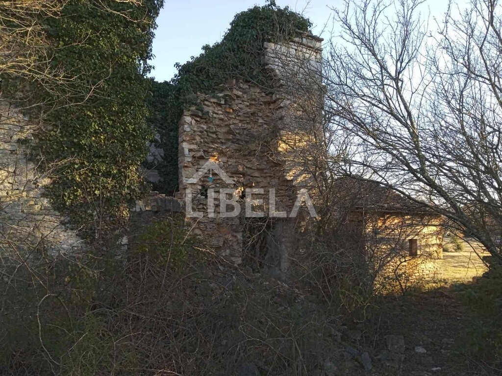 Image 5262078 - 7