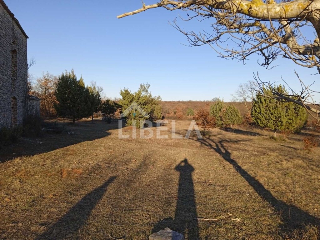 Image 5262078 - 13