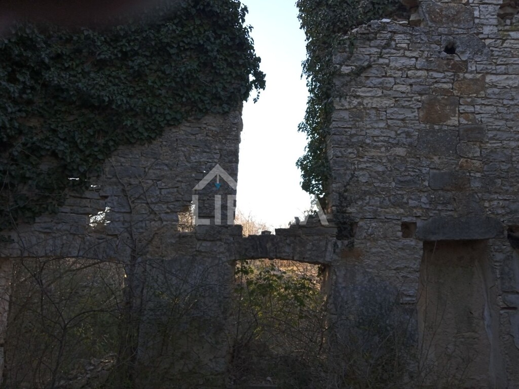 Image 5262078 - 6