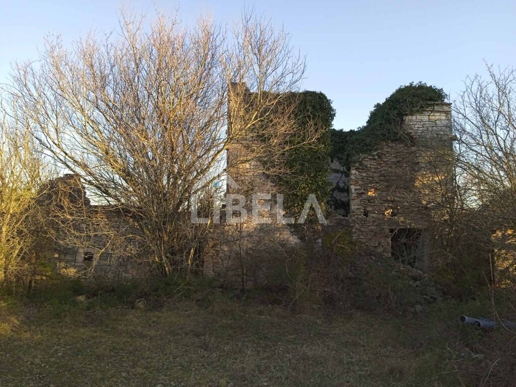 Image 5262078 - 8