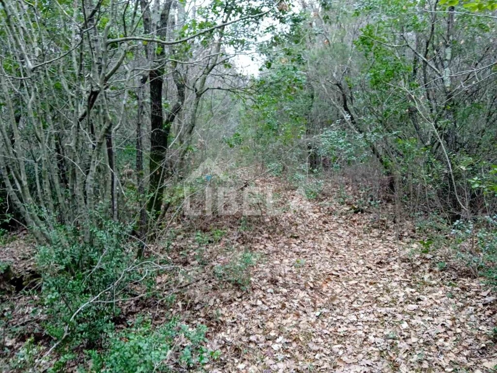 Image 5262082 - 4